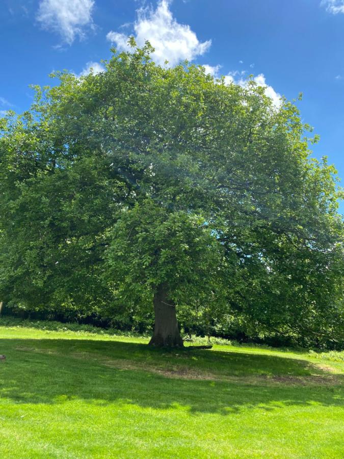 Black Mountains Glamping Hotell Abergavenny Exteriör bild